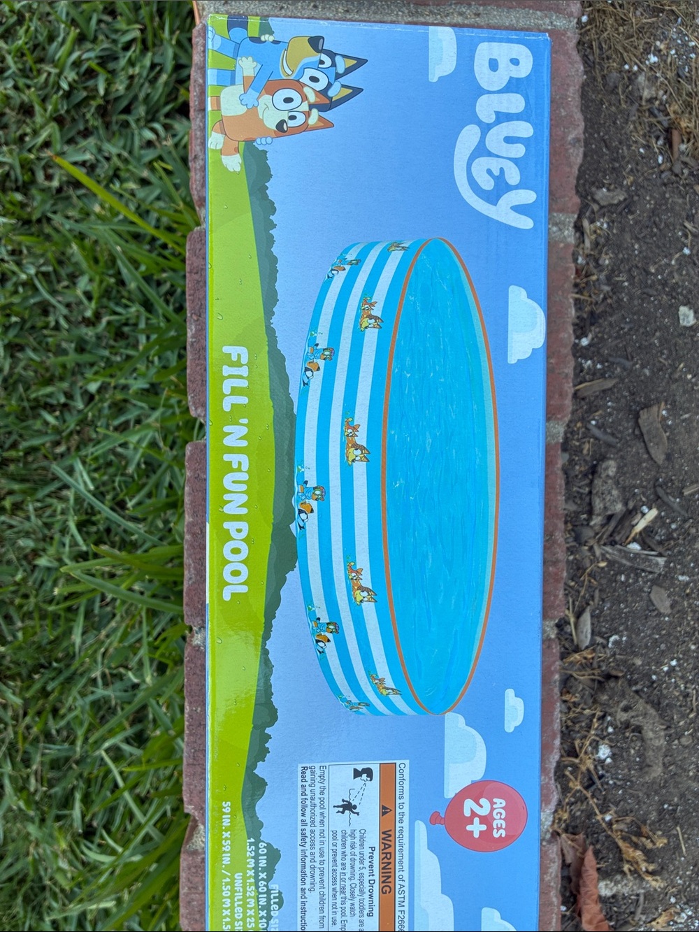 Bluey Fill N Fun Pool - Picture 3 of 5